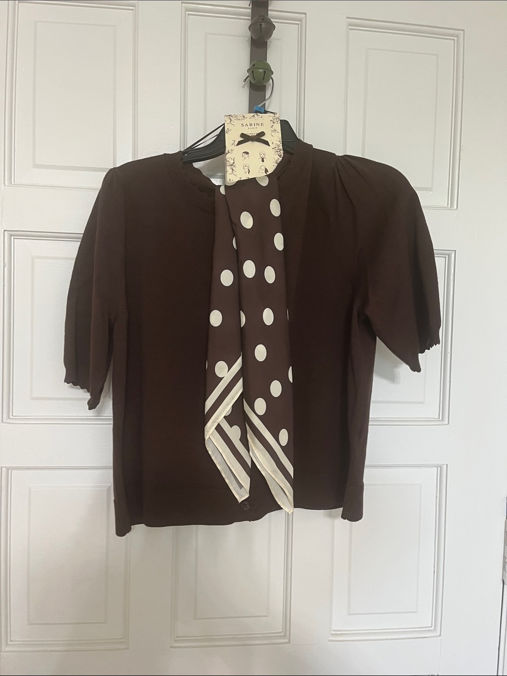 Sabine Brown Short Sleeve Top with Polka Dot Scarf Accent